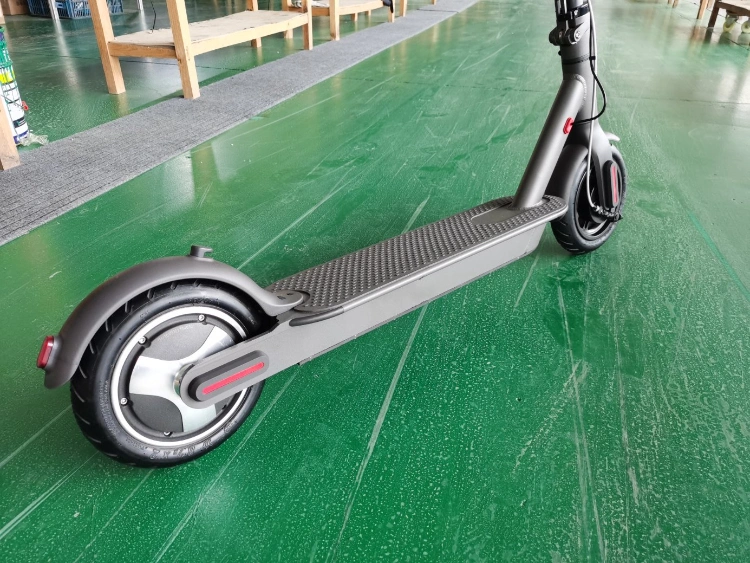 Two Wheel Smart Rear 500W Adult Self Balancing Electric Scooter